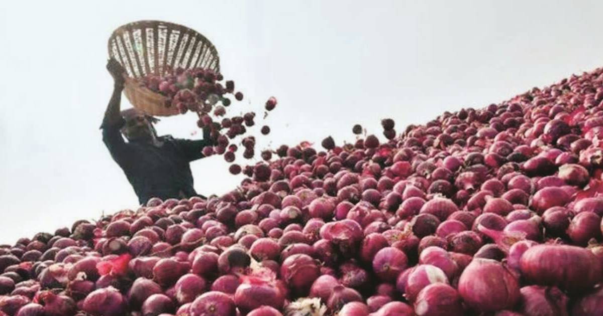 Onion exports lowest in 6 years